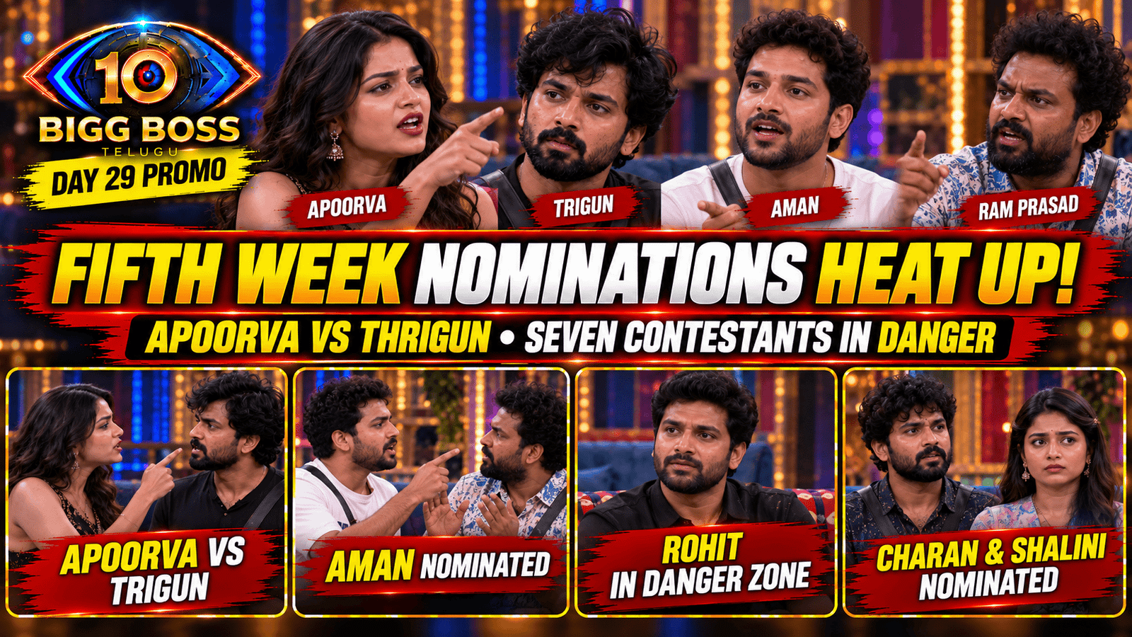 Bigg Boss Telugu Day 29